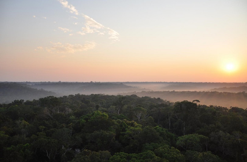 Fundación Yammine y la importancia de la Amazonía para el planeta - FOTO