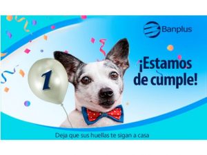 Diego Ricol - Paticas Felices Banplus está de aniversario ¡Un año siguiendo sus huellas! - FOTO