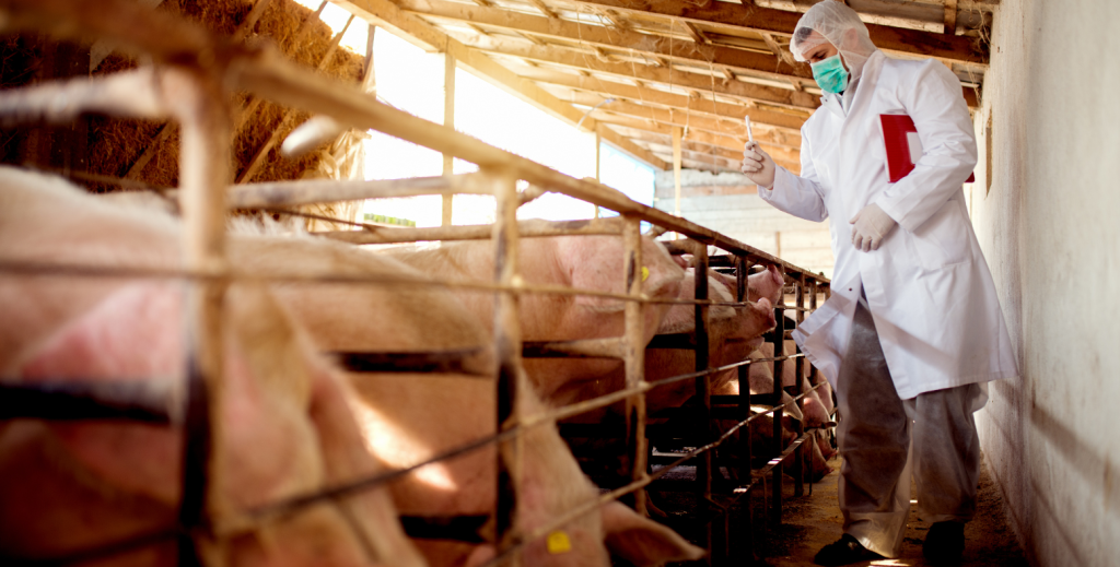 Guía de Luis Alejandro Sampayo Cabada